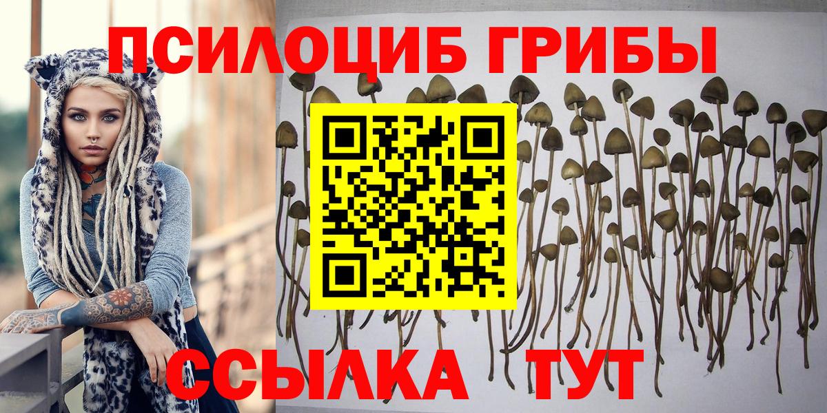 купить наркотики цена  Вход с VPN  Южно-Сахалинск  Галлюциногенные грибы GOLDEN TEACHER 
