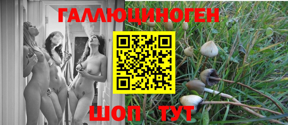 Галлюциногенные грибы мицелий Южно-Сахалинск